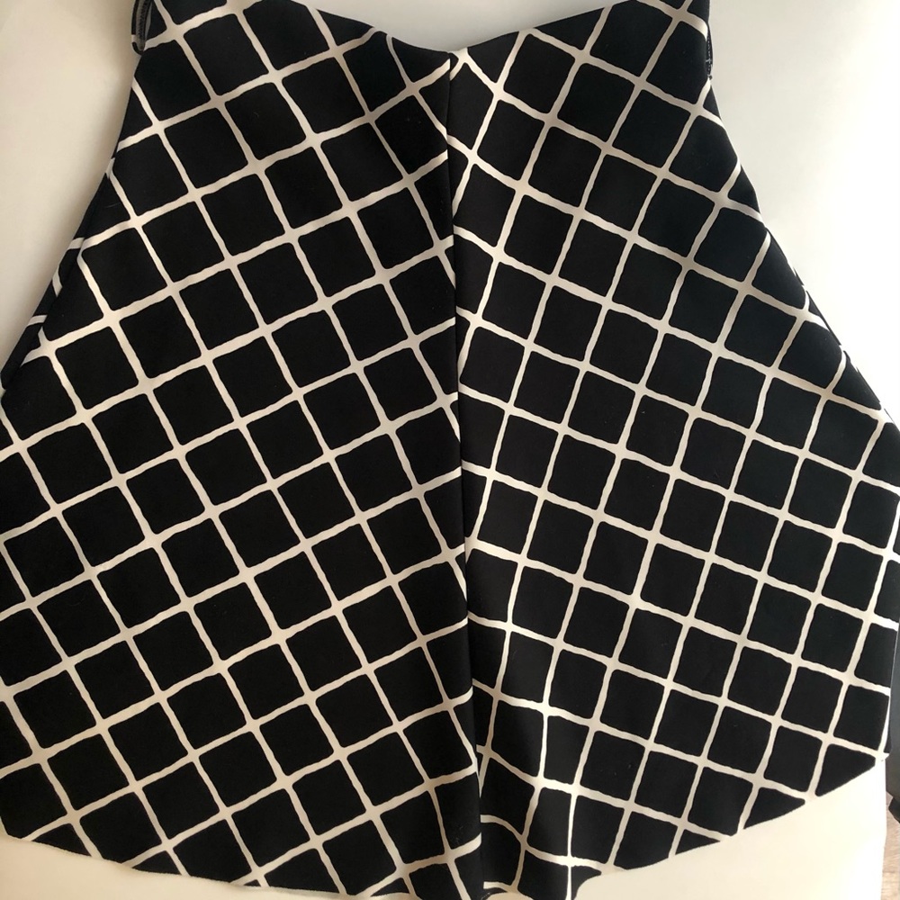 Pangea Skirt